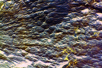 AP 82C1